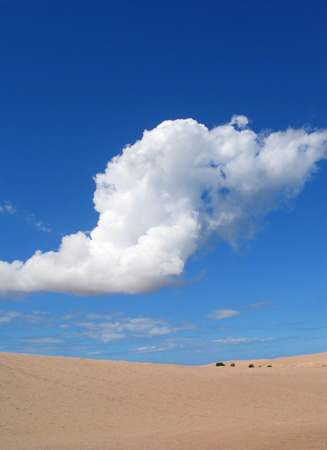 Un soffio...del cielo